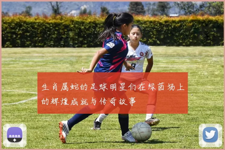 生肖属蛇的足球明星们在绿茵场上的辉煌成就与传奇故事