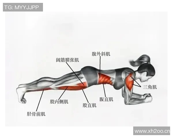 肩部健身器材:推荐有效锻炼肩部肌肉的健身器材及其使用技巧 肩部健身器材:推荐有效锻炼肩部肌肉的健身器材及其使用技巧